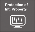 Protection of Int. Property